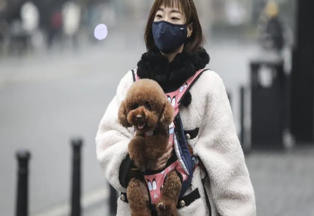 Virusul SARS-COV-2 şi infectarea animalelor domestice şi de companie