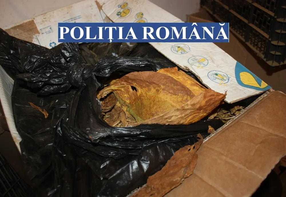 UPDATE/PERCHEZIȚII ÎNTR-UN DOSAR PRIVIND PRODUCEREA, DEŢINEREA ȘI COMERCIALIZAREA ÎN MOD ILICIT DE PRODUSE DE TUTUN