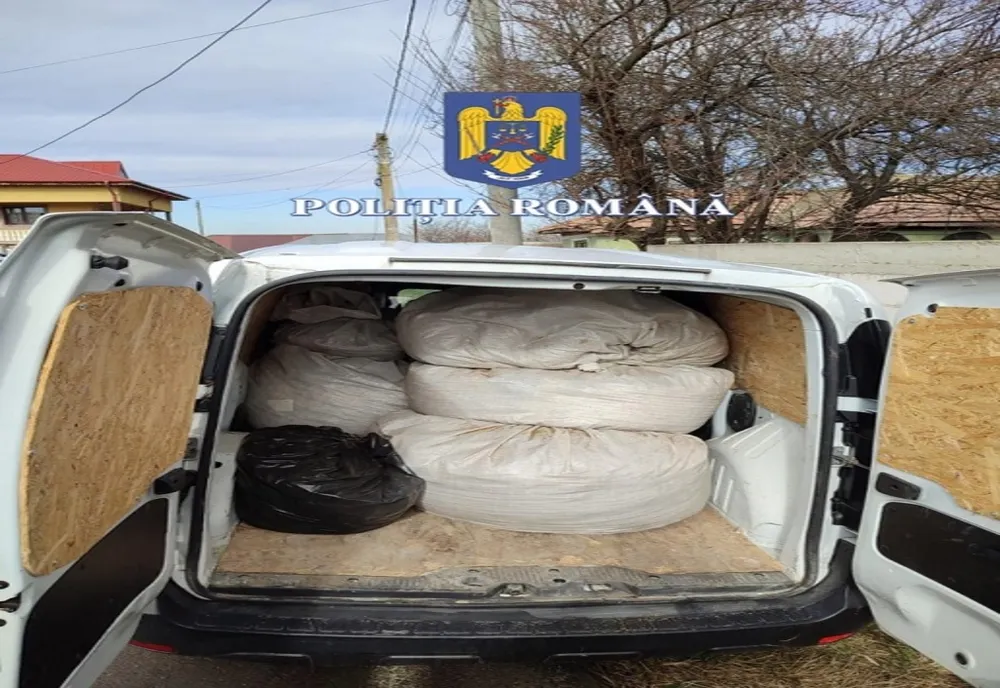 Percheziții în Călărași și Ilfov. Şapte persoane au fost aduse la audieri