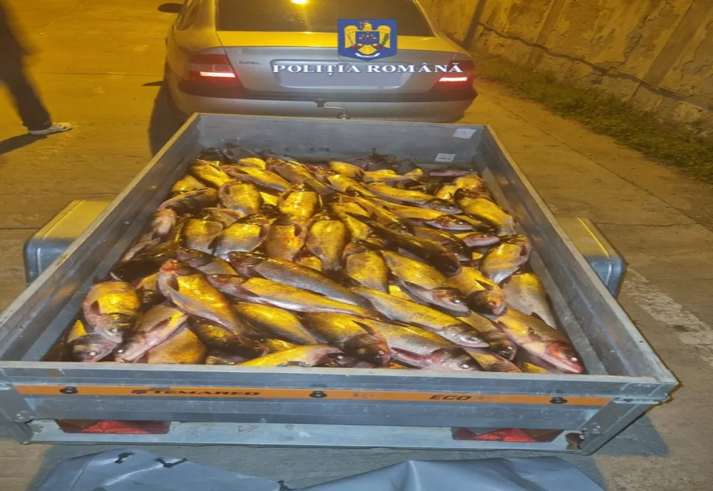 Acțiuni pentru combaterea braconajului piscicol. Amenzi pe bandă rulantă