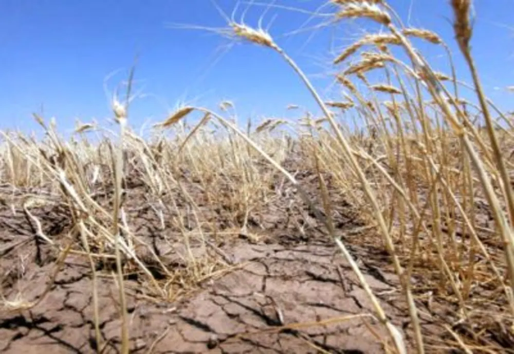 România, lovită de CANICULĂ și SECETĂ - prognoza meteo pe o lună