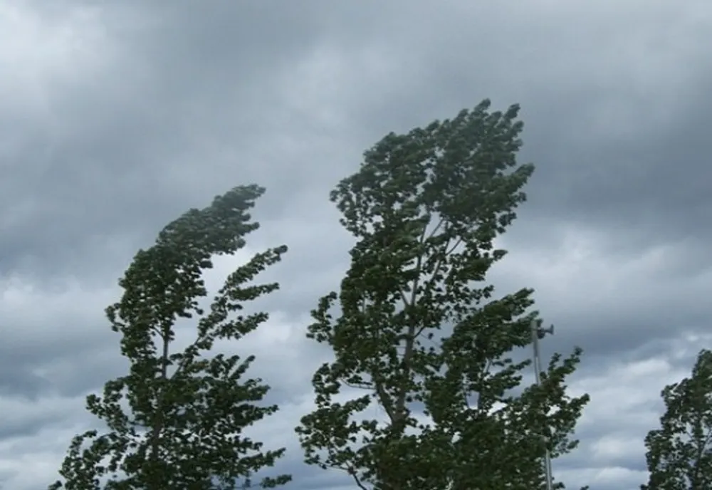Alertă meteo de fenomene extreme periculoase: rafale de vânt puternice 