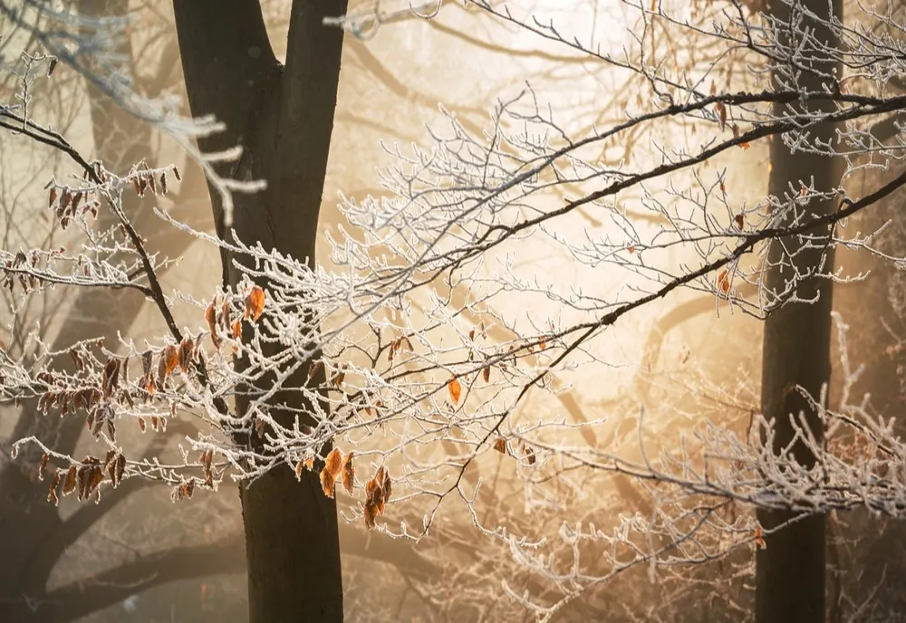 ANM: Un nou val de aer polar vine peste România