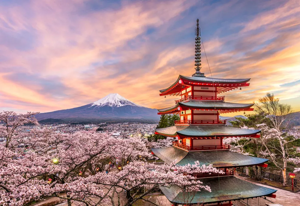 Alertă mondială, un supliment alimentar popular, produs în Japonia, provocă decese pe bandă