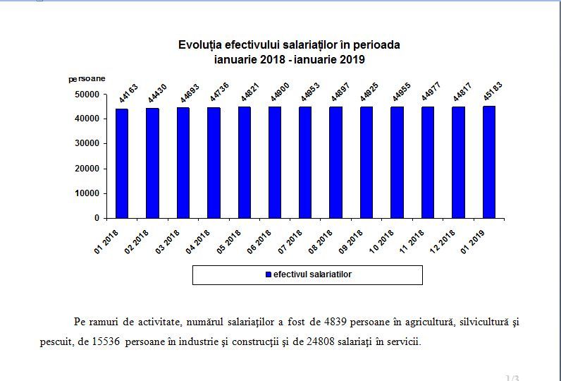 Evoluţia efectivului de salariaţi și a câștigului salarial în luna ianuarie 2019, la nivelul judeţului Călăraşi