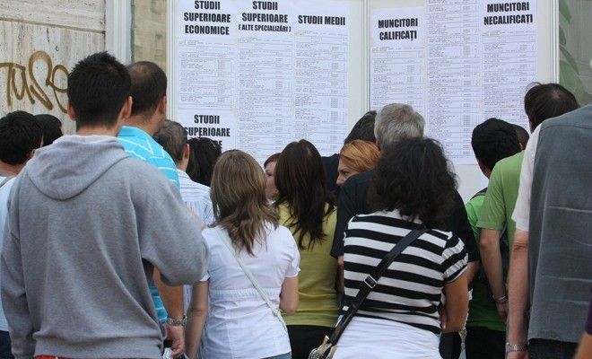 Rata șomajului în luna august, în județul Călărași, în scădere față de anul trecut