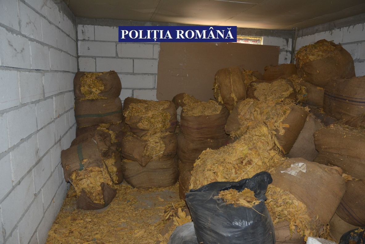 22 de tone de tutun prelucrat au confiscat polițiștii în urma perchezițiilor efectuate în mai multe județe, inclusiv Călărași