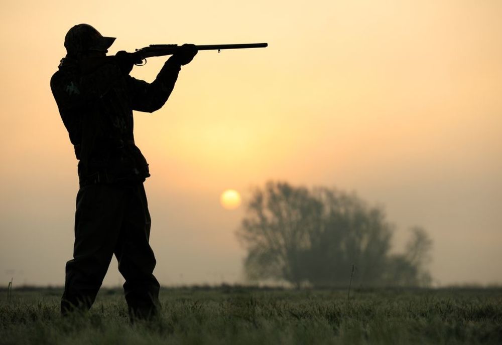 În atenția posesorilor de arme! S-a modificat regimul armelor și munițiilor!