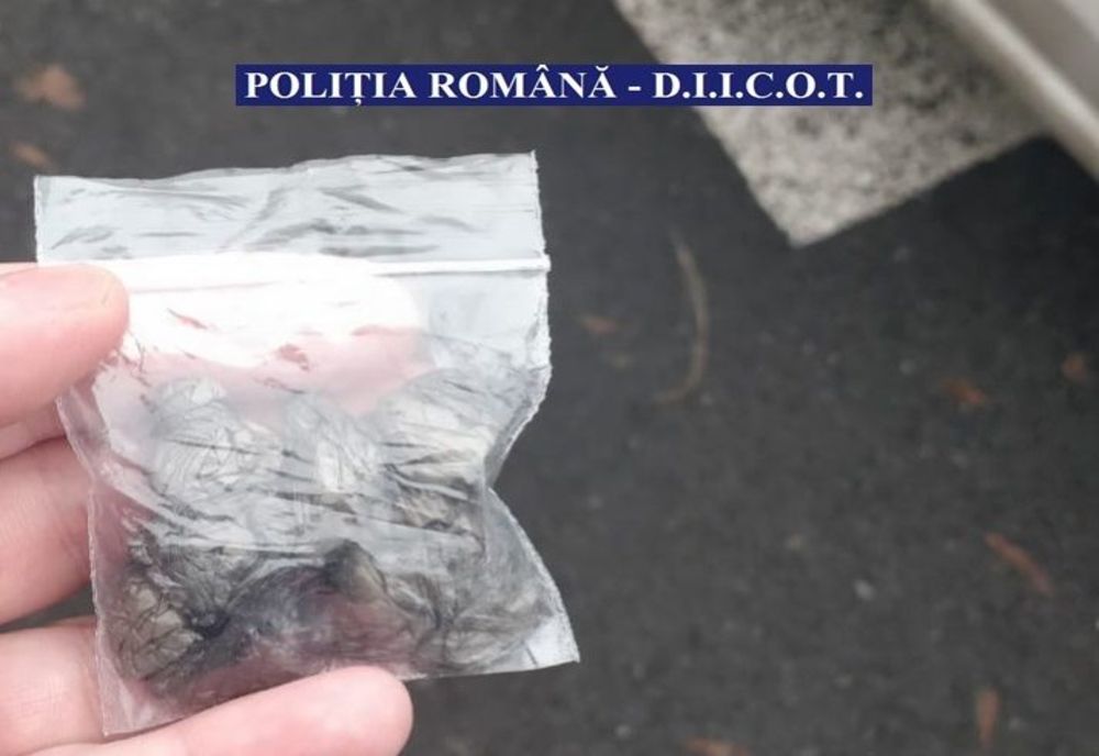 Bărbat de 42 de ani, din Călărași, reținut pentru trafic de cocaină