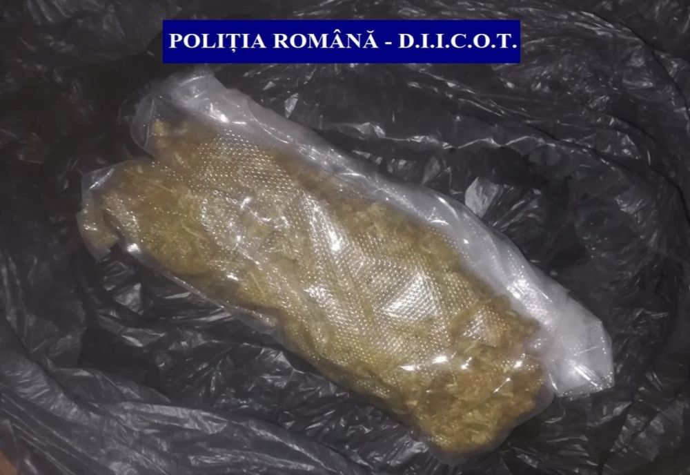 Cannabis cultivat în Spania, adus și comercializat în Călărași