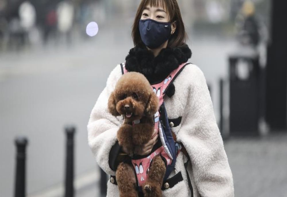 Virusul SARS-COV-2 şi infectarea animalelor domestice şi de companie