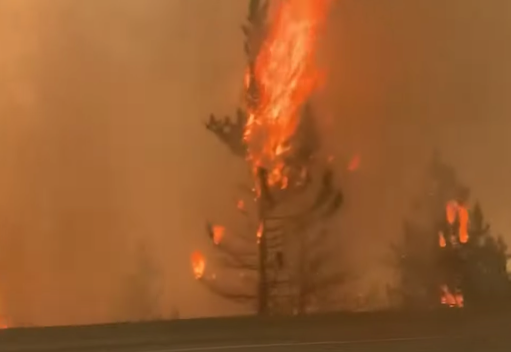 Incendiu de proporţii în Parcul Natural „Porţile de Fier”