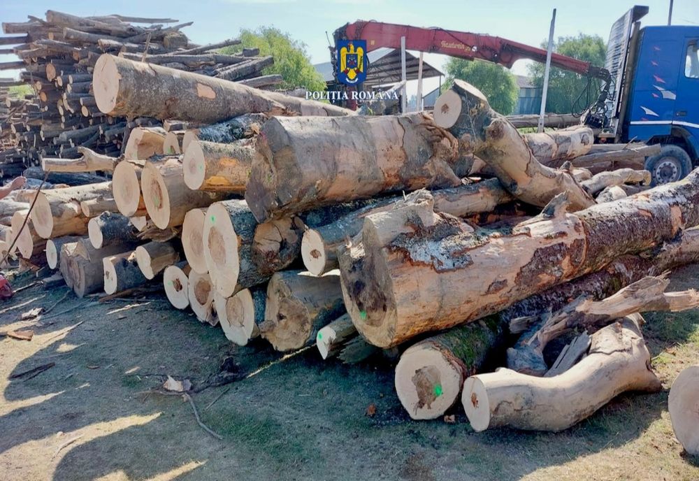 O razie a polițiștilor călărășeni pe linie silvică s-a lăsat cu amenzi