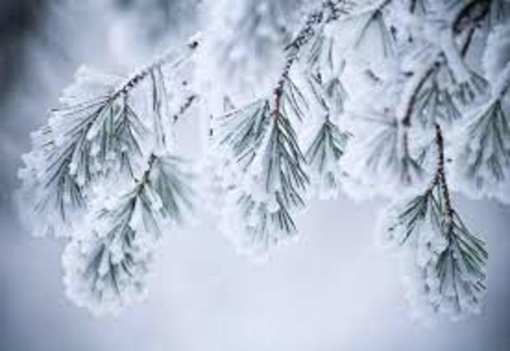 Ninsori și temperaturi în pragul înghețului 