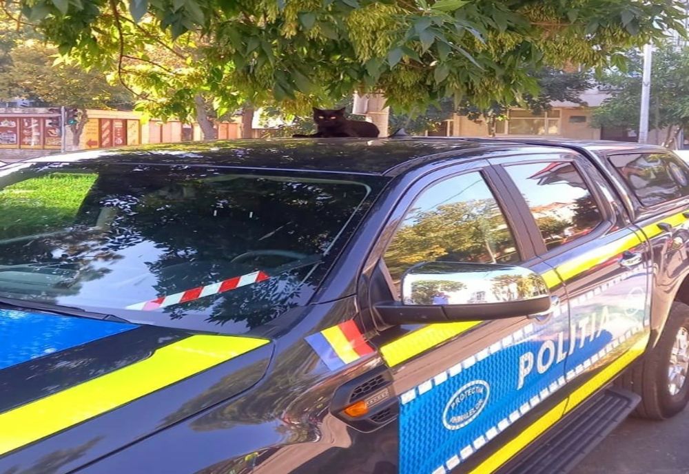 Zi cu ghinion pentru un tânăr din Mitreni