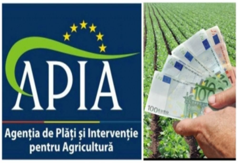 Fost director APIA trimis în judecată de DNA. Instigare la fraudă cu fonduri europene