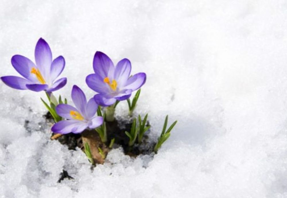 Temperaturi ireale, în România - regiunile unde se anunță 18 grade Celsius. Când revine frigul