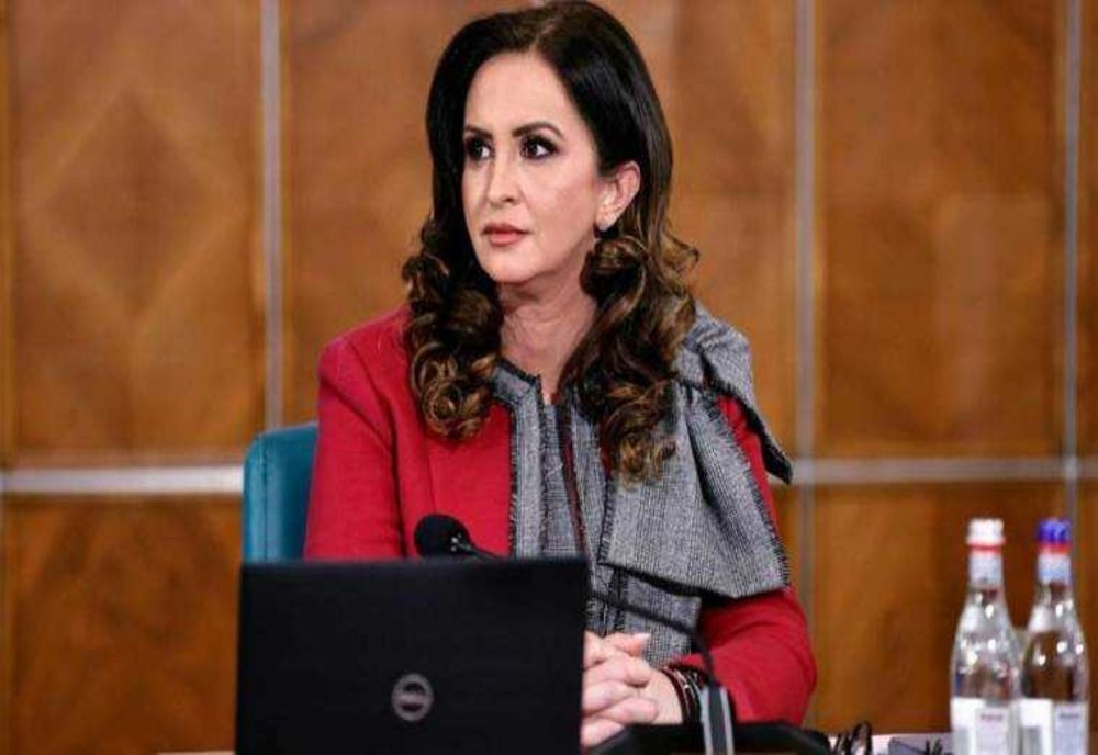 NATALIA INTOTERO L-A DEMIS PE DIRECTORUL MUZEULUI NAȚIONAL DE ISTORIE ÎN URMA FURTULUI DIN OLANDA