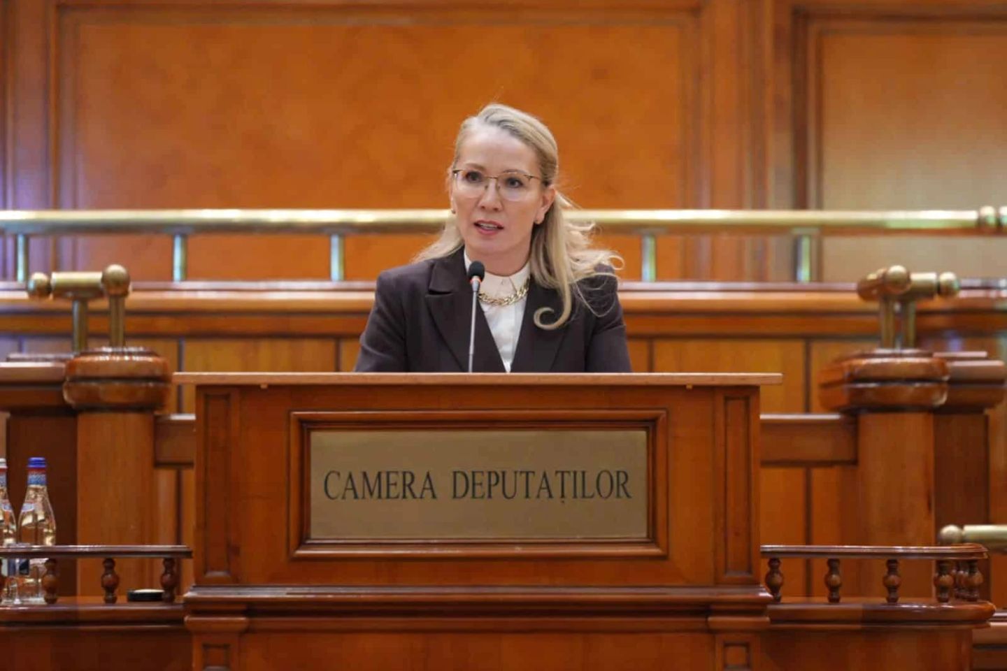 Ramona Ioana Bruynseels (deputat AUR): „Statul a lipsit! Românii se trezesc cu războiul în casă, iar guvernanții stau pe scaune”