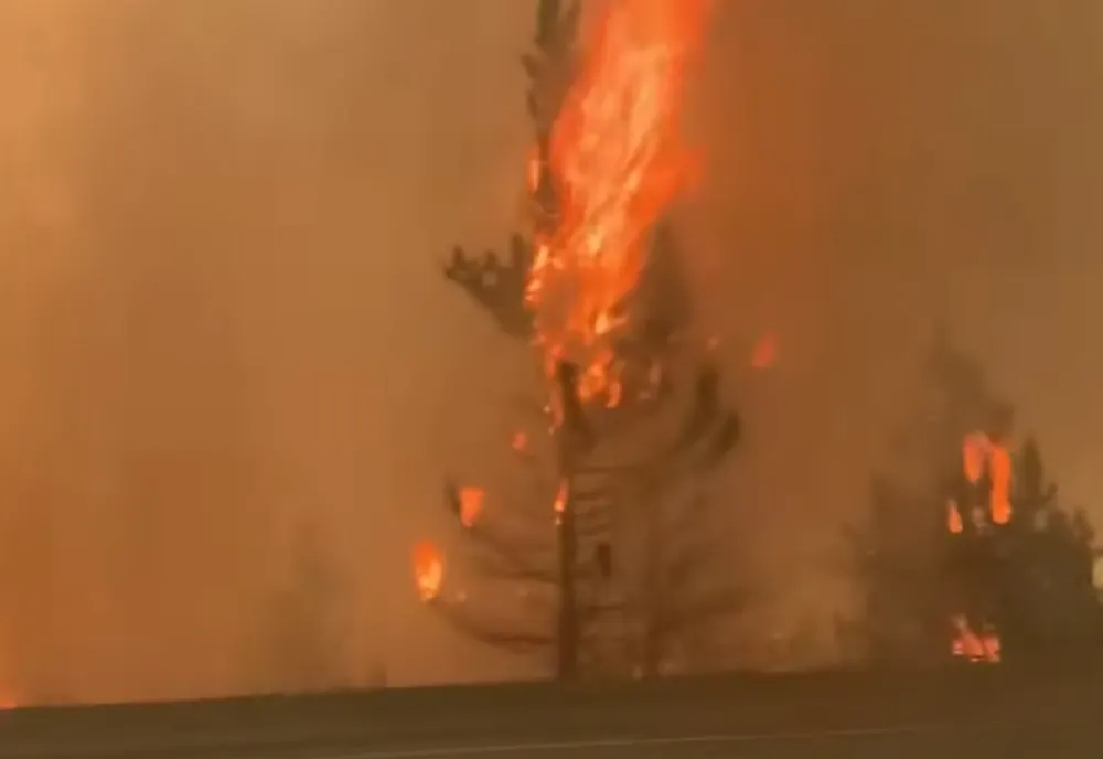 Incendiu de proporţii în Parcul Natural „Porţile de Fier”