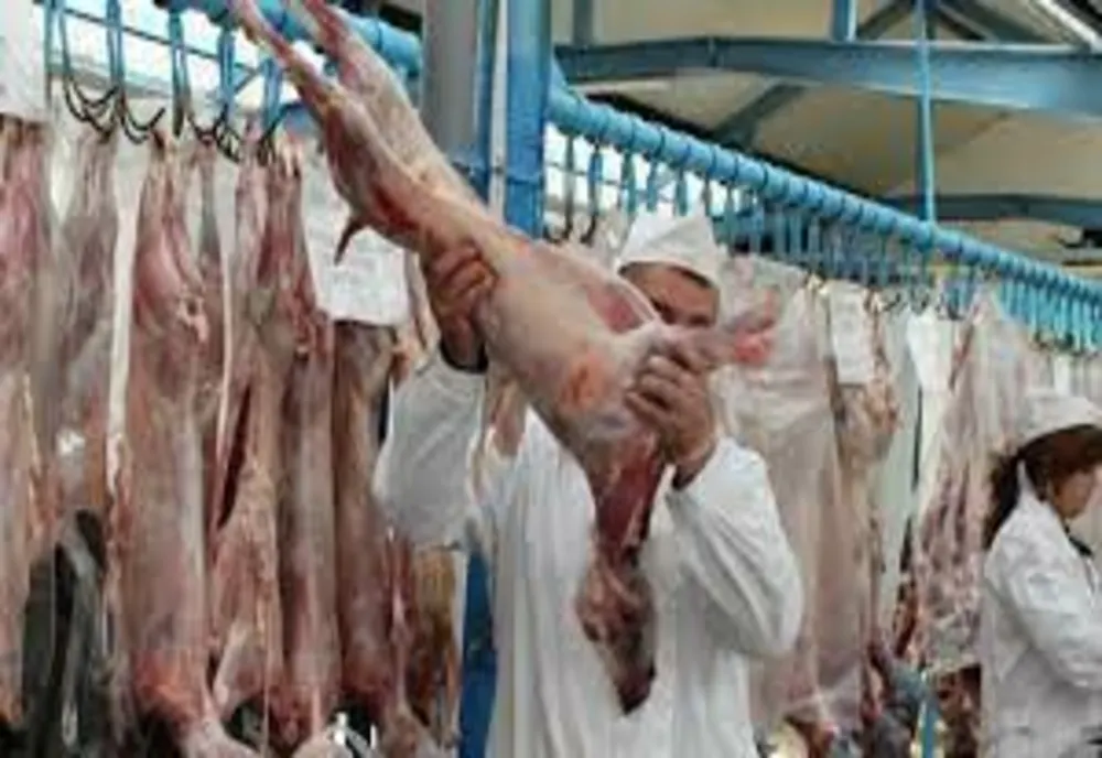 Cum se deosebeşte carnea de miel de cea de câine - Anunțul făcut de ANSVSA