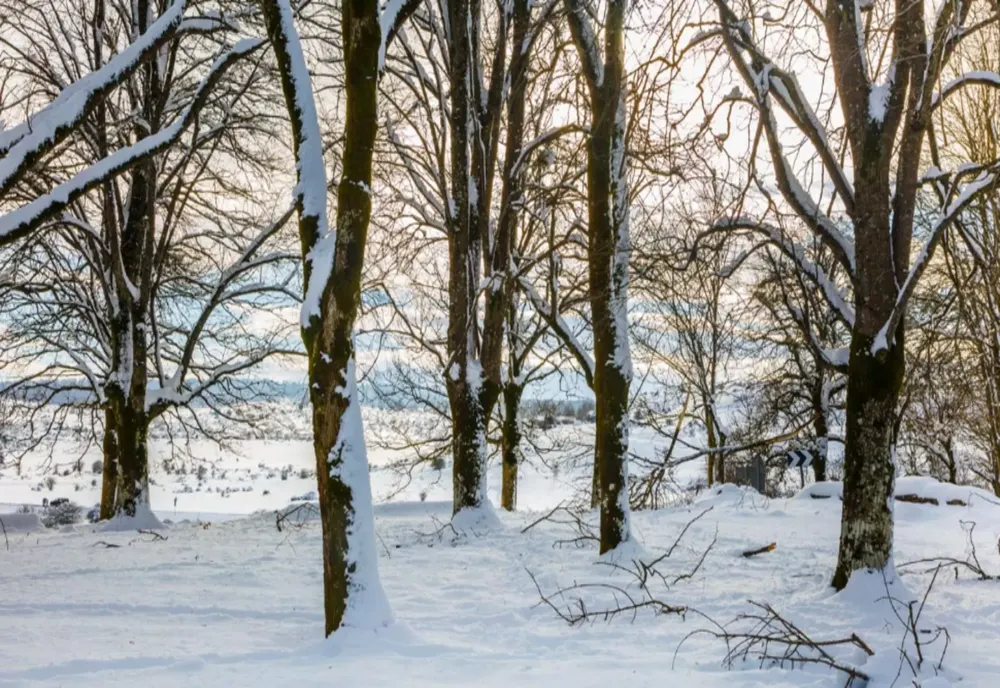 Variații mari de temperatură în decembrie: răcire accentuată după data de 18 decembrie