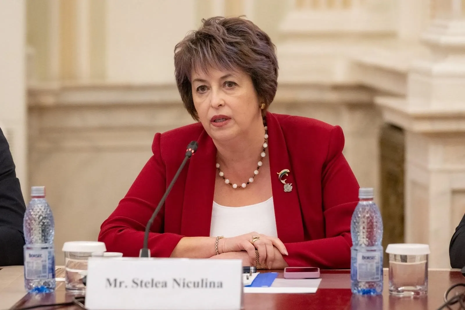 Niculina Stelea (senator AUR)