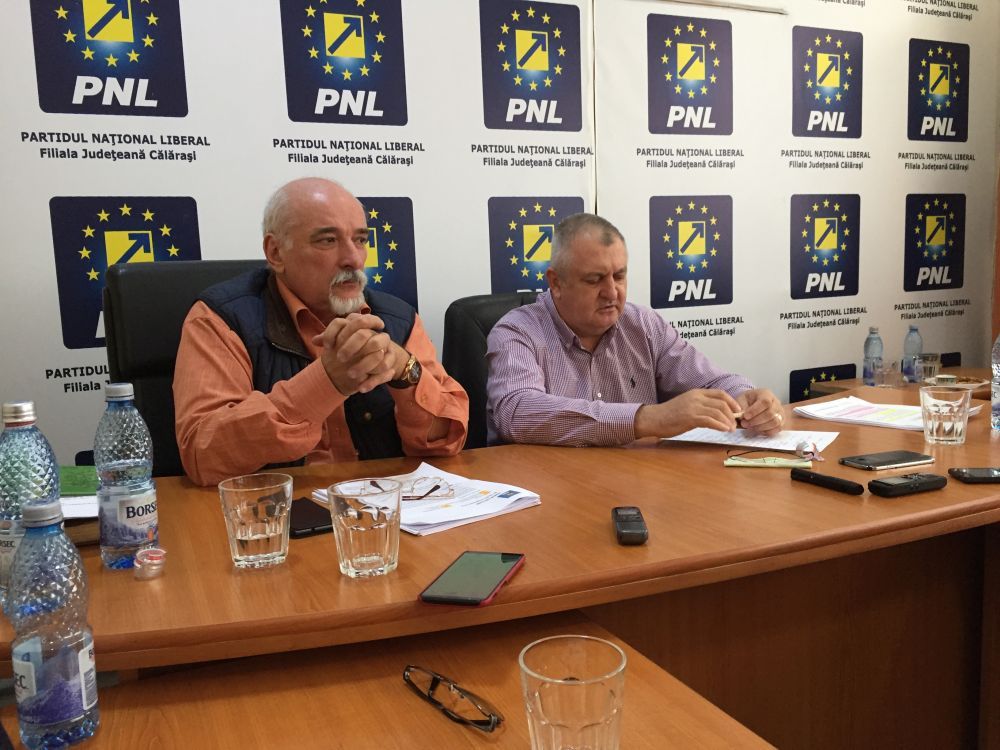 raducu filipescu_buget