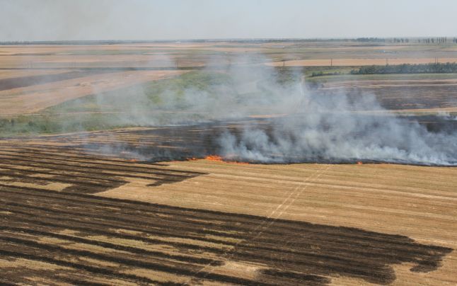 incendii miriste