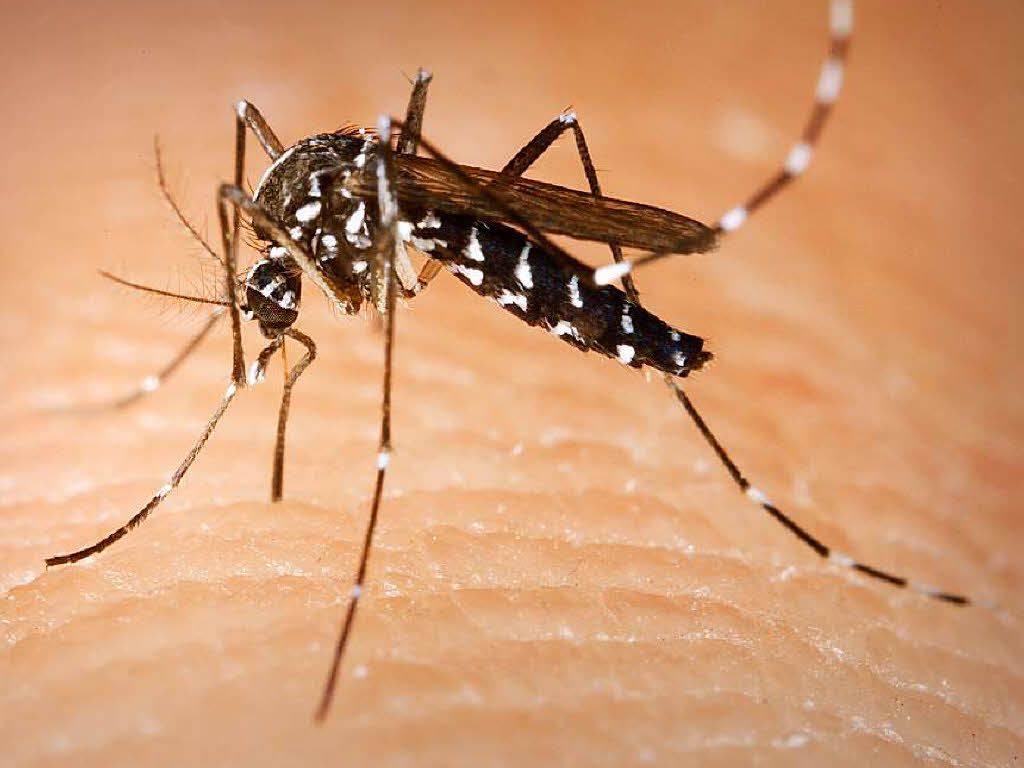 west nile