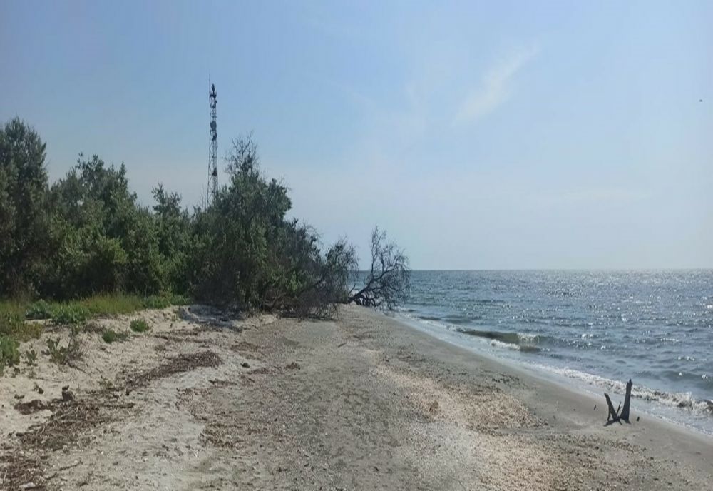 Viperele de stepă și-au făcut apariția în Rezervaţia Biosferei Delta Dunării