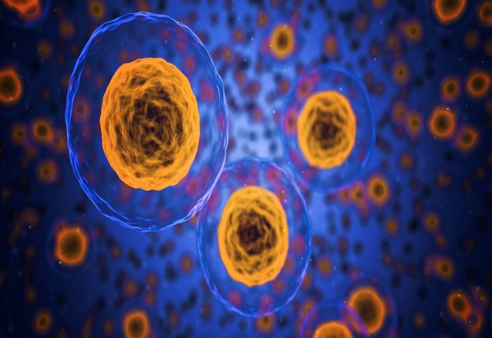 Vești bune! Cercetătorii israelieni au descoperit un sistem anticancer în celulele umane
