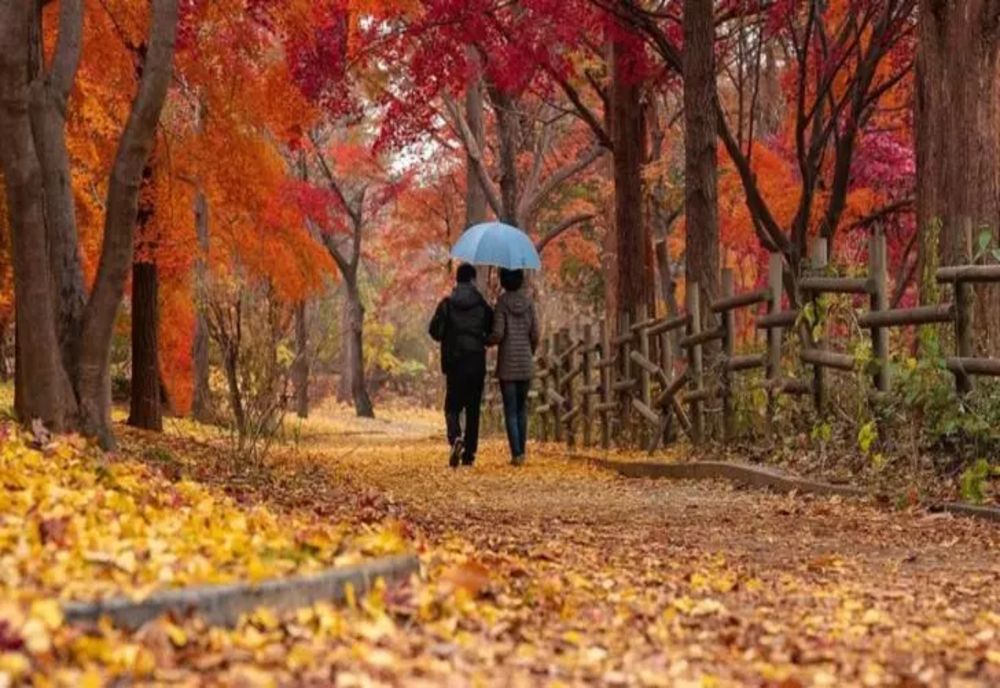 Vremea 24 septembrie. Temperaturi scăzute în toată România - Lapoviță și ninsoare, la munte