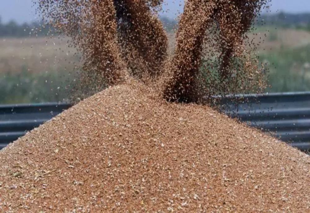 Scandalul cerealelor. România sigilează și monitorizează transporturile de cereale din Ucraina