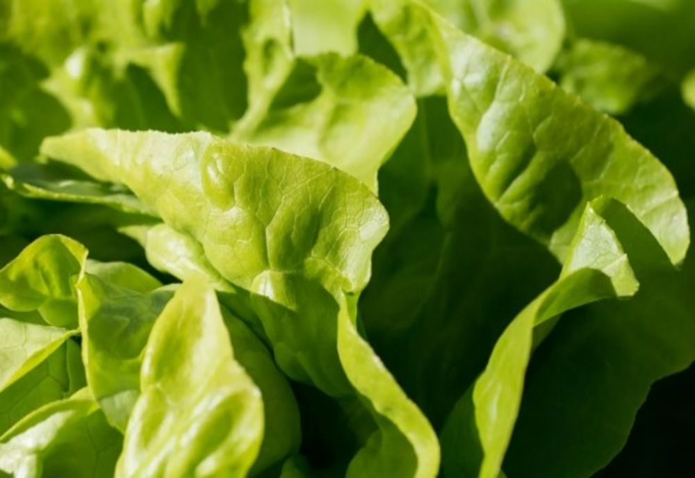 Detoxifierea de după mesele copioase de Paște! Trei rețete de salată delicioase și rapid de pregătit