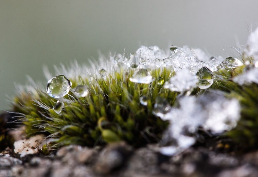 Cum va fi vremea în următoarele două săptămâni. ANM anunță temperaturi de primăvară, apoi răcire bruscă în aceste zone