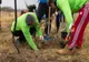 Asociația Pădurea Copiilor va planta 10.000 de copaci în comuna Dragoș Vodă, județul Călărași