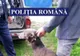 Bărbat reținut de polițiști pentru braconaj cinegetic