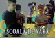 Muzeul Dunării de Jos organizează, în perioada iulie – august, Școala de Vară