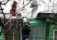 Incendiu de locuinţă în oraşul Olteniţa, pe strada Mihai Eminescu