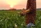Eurodeputatul Dan Motreanu:  Atragerea tinerilor în agricultură și practicarea unei agriculturi „inteligente”, esențiale în viitorul agriculturii europene