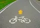 Piste de biciclete în municipiului Călărași
