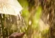 Prognoza meteo 6 iulie. Cod galben de caniculă, dar și vijelii și căderi de grindină