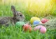 Cum va fi vremea de Paște? Prognoza actualizată pentru perioada 27 martie – 24 aprilie