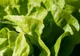 Detoxifierea de după mesele copioase de Paște! Trei rețete de salată delicioase și rapid de pregătit