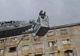 Pompierii militari din Oltenița au ajutat un pui de barză să ajungă acasă, în cuibul său