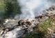 Intervenție la incendiu de vegetație uscată la periferia oraşului Olteniţa