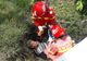Căruțaș rănit în urma unui accident rutier la Căscioarele