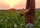 Eurodeputatul Dan Motreanu:  Atragerea tinerilor în agricultură și practicarea unei agriculturi „inteligente”, esențiale în viitorul agriculturii europene