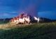 FOTO Incendiu puternic în Ialomița. Pompieri din două județe în luptă cu flăcările